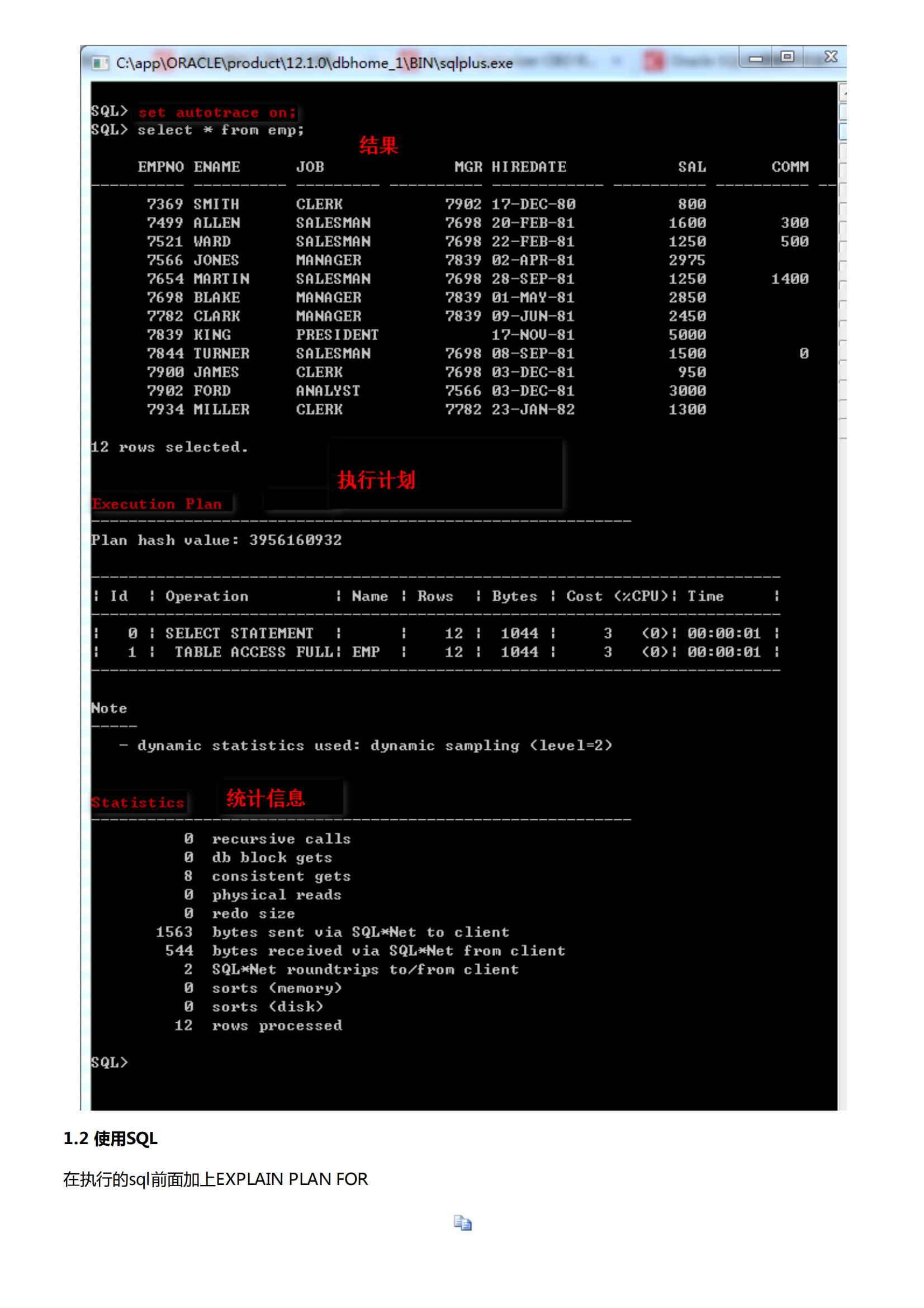 Oracle 执行计划（Explain Plan）