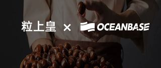 对话粒上皇CIO蔡艺铭:升级至OB Cloud,迎战百万级订单洪流