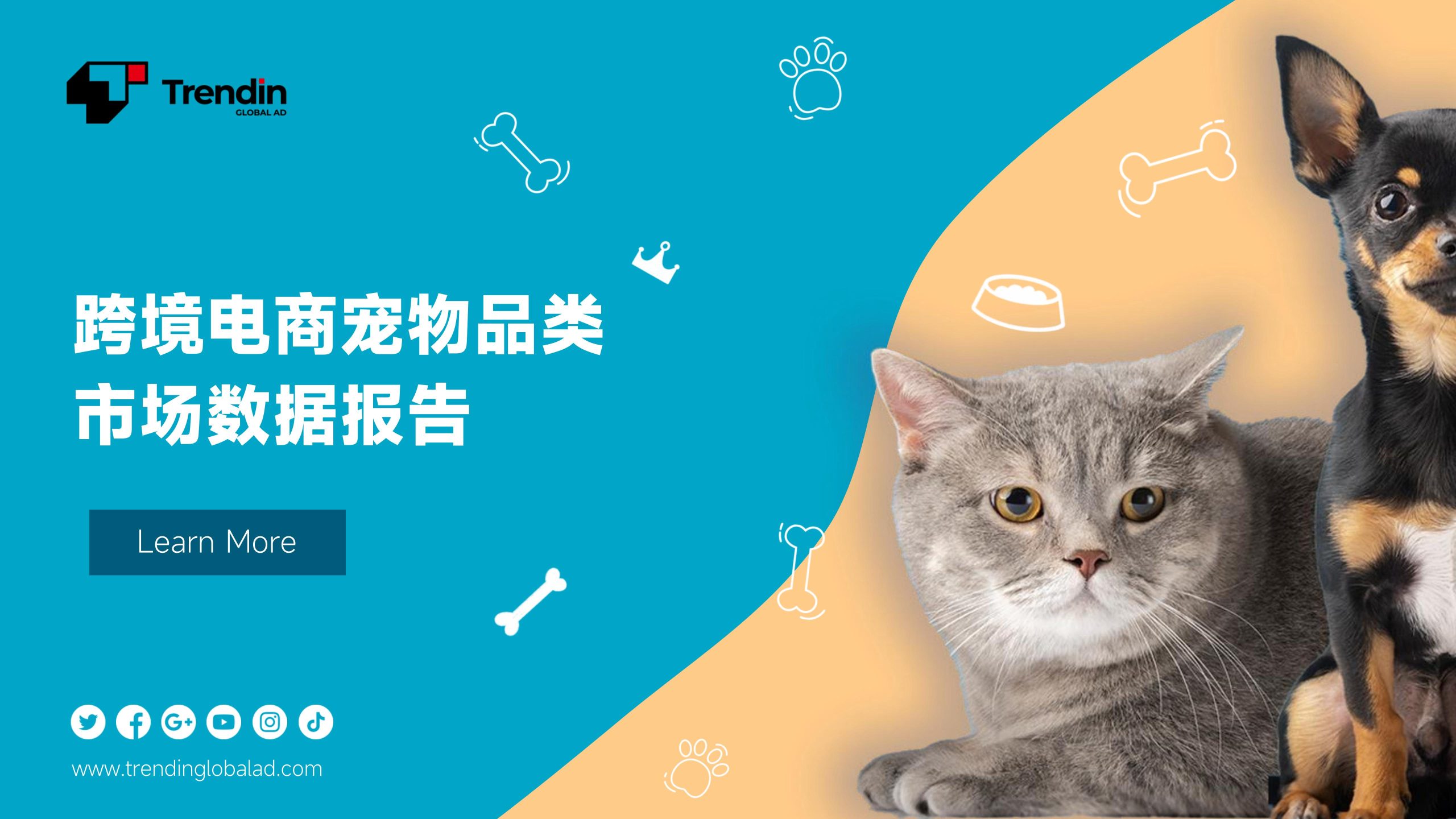 Trendin2023跨境电商宠物品类市场数据报告20页