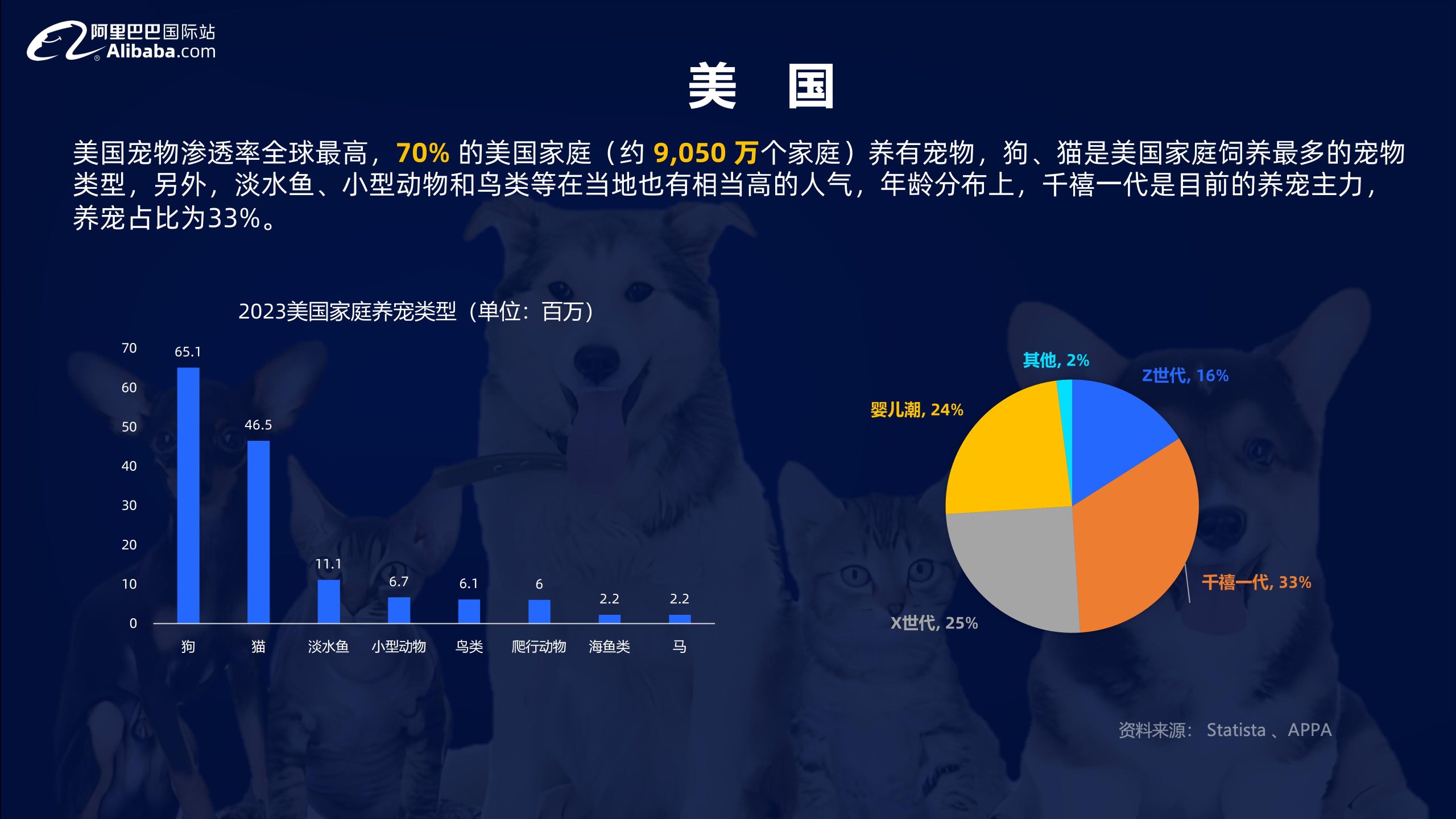 阿里巴巴国际站2024宠物行业宠物玩具全球趋势报告18页